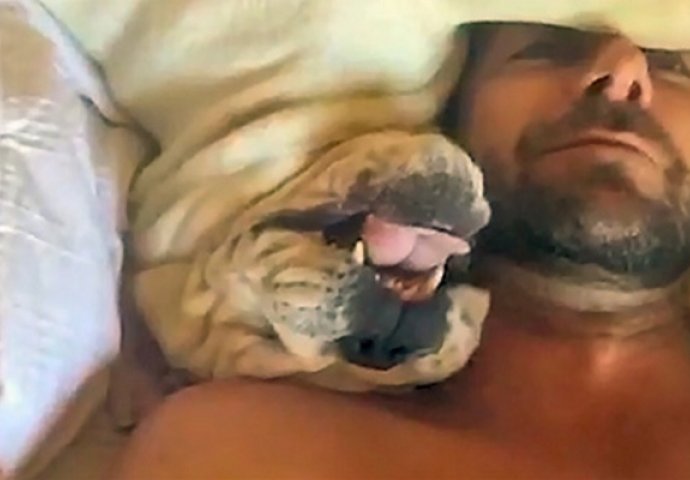 Njegov pas mrzi da ustaje rano ujutru, ono što se dešava svako jutro je urnebesno smiješno (VIDEO)