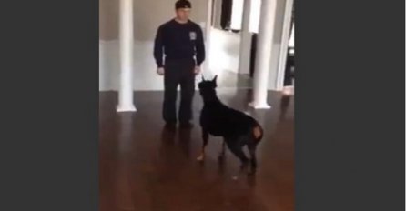 Stao je uspravno i nešto rekao svom psu, pogledajte kako je na to reagovao doberman (VIDEO)