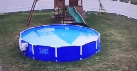 Čudni zvukovi dopirali su iza njegove kuće: Kada je pogledao bazen, imao je šta i da vidi (VIDEO)