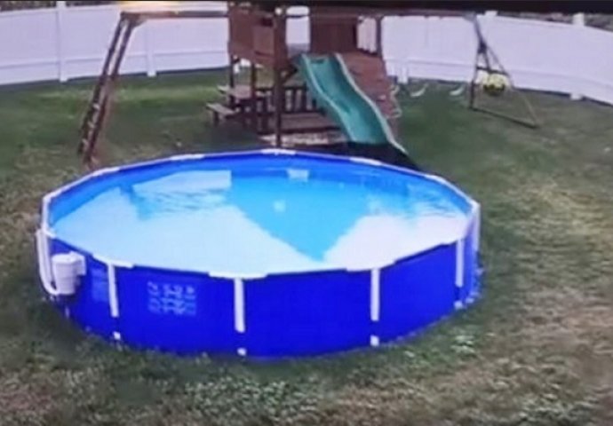 Čudni zvukovi dopirali su iza njegove kuće: Kada je pogledao bazen, imao je šta i da vidi (VIDEO)