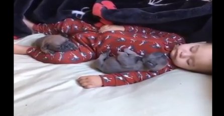 Beba i psić koji zajedno spavaju su najslađi prizor ikada (VIDEO)
