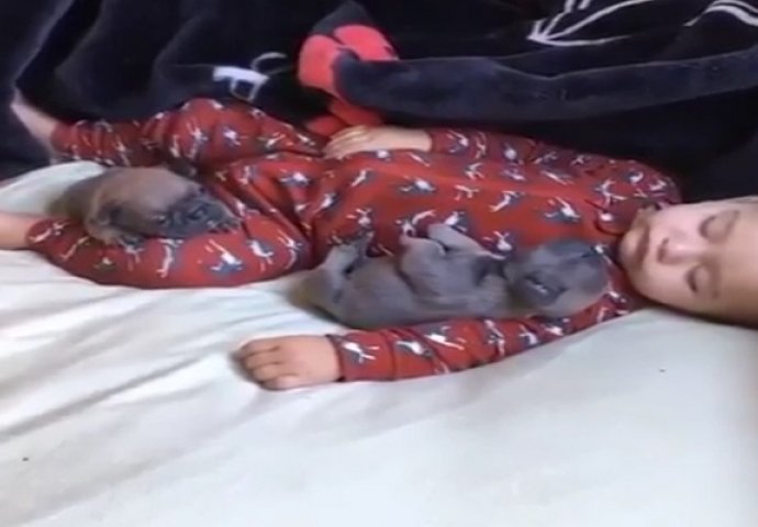 Beba i psić koji zajedno spavaju su najslađi prizor ikada (VIDEO)