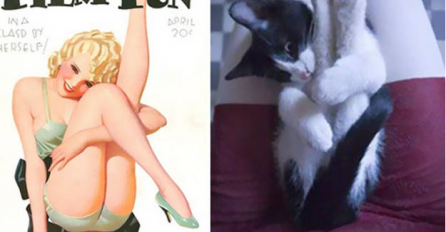 Uvijek smo se pitali zašto žene nazivaju mačkama, a sada i znamo! Razlog je i više nego očit (FOTO)