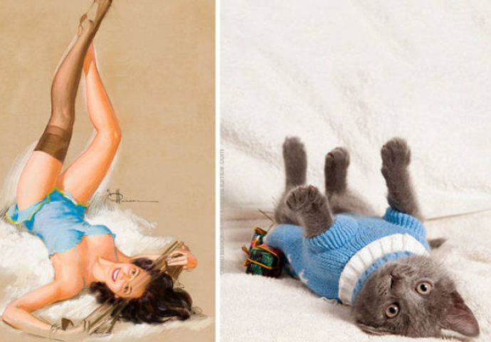 Uvijek smo se pitali zašto žene nazivaju mačkama, a sada i znamo! Razlog je i više nego očit (FOTO)