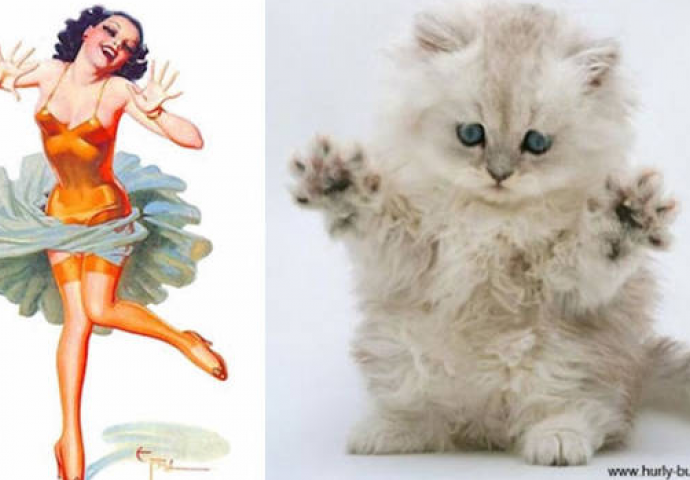 Uvijek smo se pitali zašto žene nazivaju mačkama, a sada i znamo! Razlog je i više nego očit (FOTO)