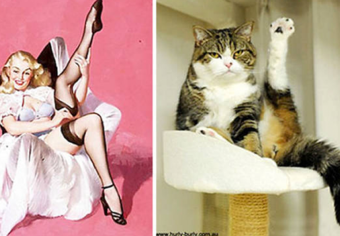 Uvijek smo se pitali zašto žene nazivaju mačkama, a sada i znamo! Razlog je i više nego očit (FOTO)