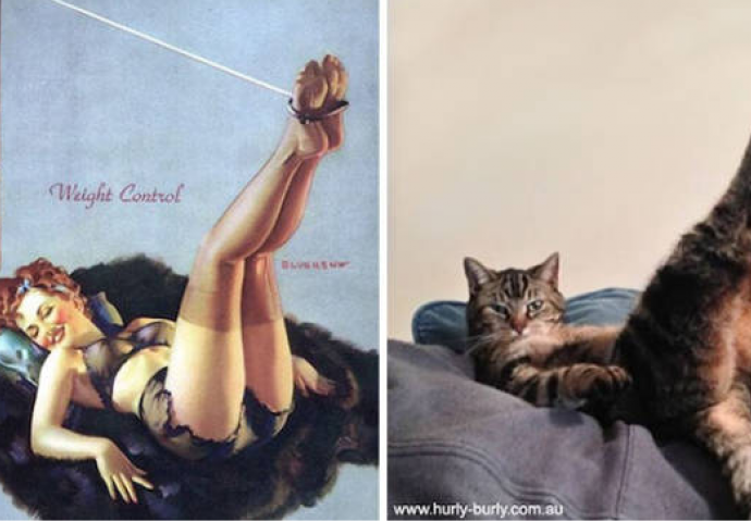 Uvijek smo se pitali zašto žene nazivaju mačkama, a sada i znamo! Razlog je i više nego očit (FOTO)