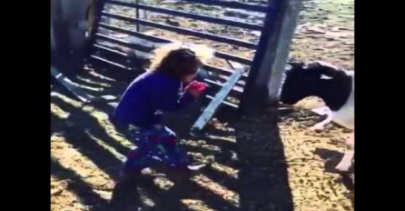 Djevojčica je htjela da poljubi kozu, no nakon ovoga će imati noćne more (VIDEO)