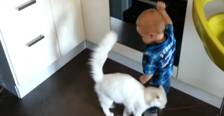 Dječak se igrao oko vruće pećnice, a onda je mačka uradila nevjerovatnu stvar (VIDEO)