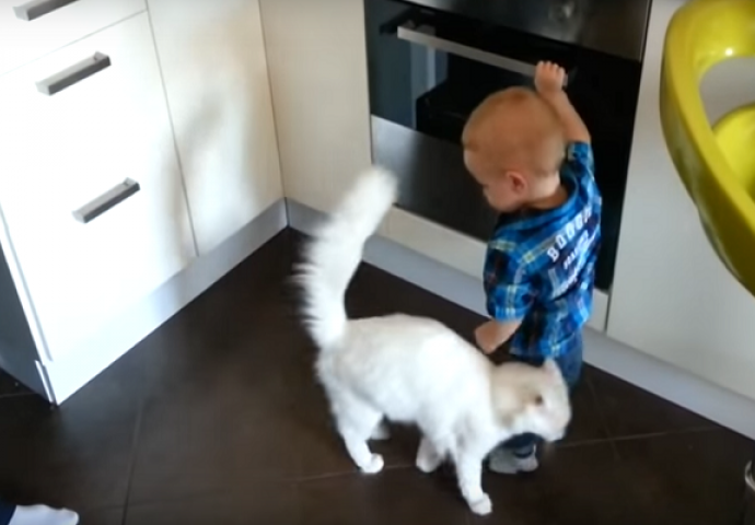 Dječak se igrao oko vruće pećnice, a onda je mačka uradila nevjerovatnu stvar (VIDEO)