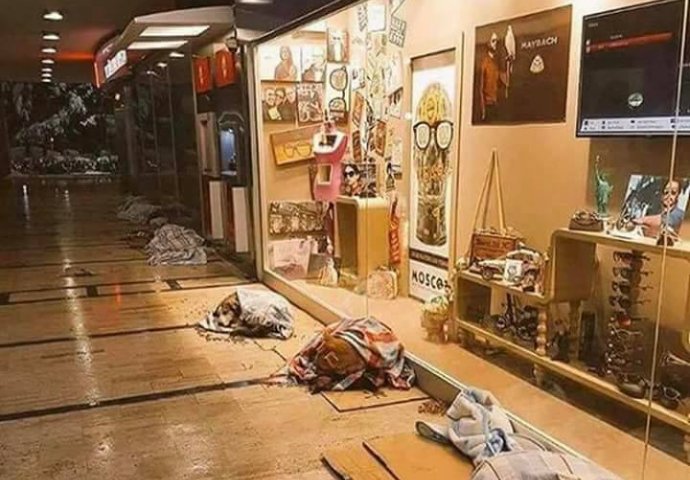 Ovo vraća vjeru u ljude: Tržni centar u Turskoj otvorio vrata za pse lutalice i pokrili ih ćebadima (FOTO)