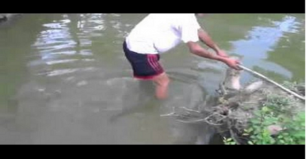 Ušao je u rijeku da rukama uhvati električnu jegulju, bolje da nije (VIDEO)