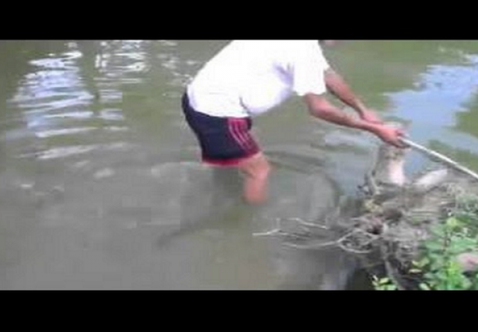 Ušao je u rijeku da rukama uhvati električnu jegulju, bolje da nije (VIDEO)