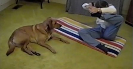 Ona pokušava da izvede tešku joga pozu, pogledajte šta njen pas radi (VIDEO)