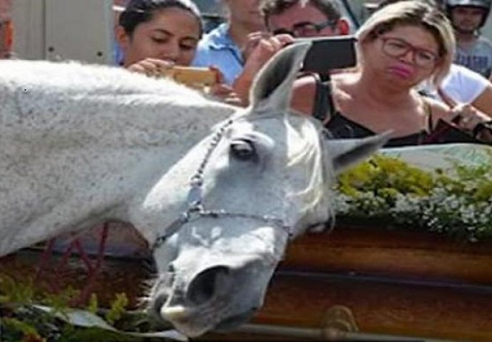 Srce da prepukne: Pogledajte kako je konj plakao na sahrani svog vlasnika (VIDEO)