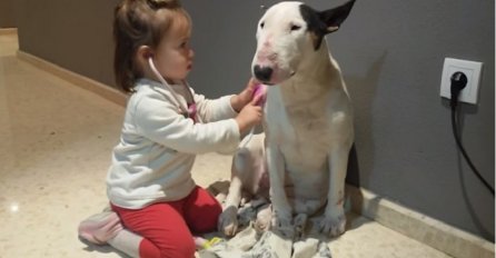 2-godišnja djevojčica se igra sa svojim psom, njegova reakcije će vas oduševiti (VIDEO)