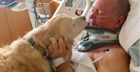 Nakon što je vlasnik slomio vrat, njegov  pas je uradio nevjerovatnu stvar kako bi mu spasio život (VIDEO)