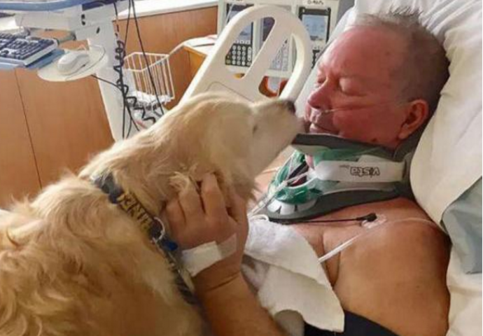 Nakon što je vlasnik slomio vrat, njegov  pas je uradio nevjerovatnu stvar kako bi mu spasio život (VIDEO)