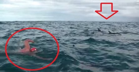 Dok je plivao u moru prišla mu je ajkula, a onda se dogodilo pravo čudo (VIDEO)