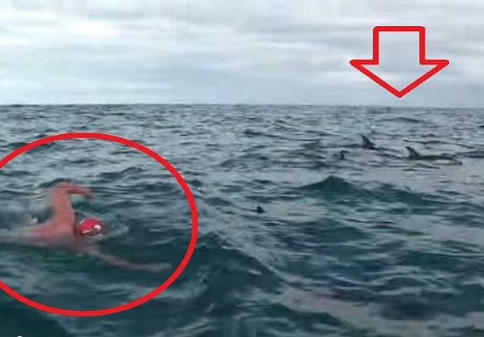 Dok je plivao u moru prišla mu je ajkula, a onda se dogodilo pravo čudo (VIDEO)