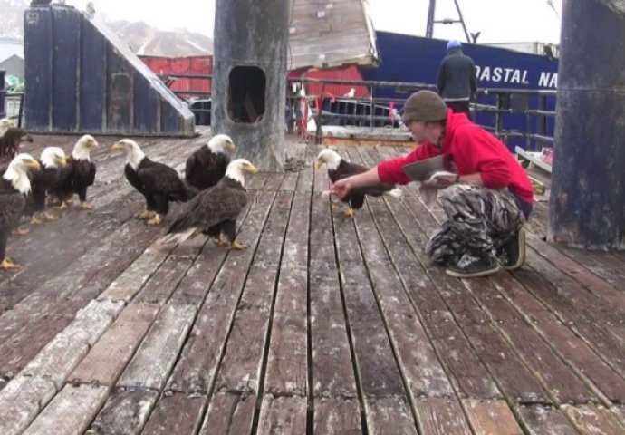 Ribar je na brodu hranio jato orlova, a onda je kameru okrenuo lijevo (VIDEO)