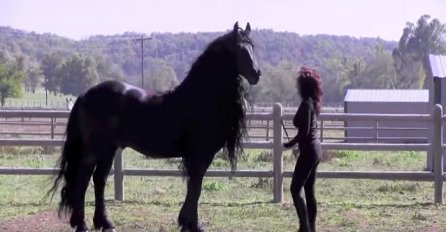 Kažu da je ovo najljepši konj na svijetu: Kada pogledate snimak shvatit ćete zašto (VIDEO)