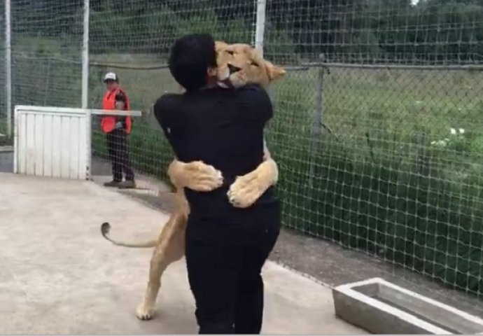 Stajao je ispred kaveza velikog lava, ono što se desilo u nastavku se ne može opisati riječima (VIDEO)
