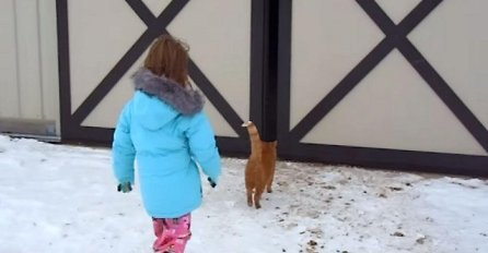 Djevojčica je samo pratila svoju mačku, a onda je otkrila ogromnu tajnu svojih roditelja (VIDEO)