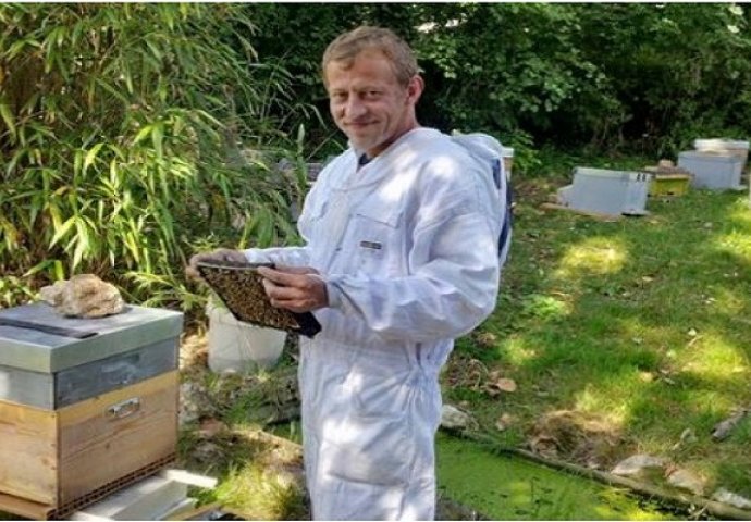 Ovaj čovjek pravi med od marihuane: Istrenirao je pčele da skupe smolu iz kanabisa (VIDEO)
