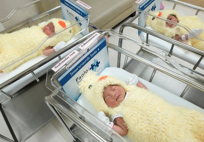 Najslađi kostimi: Novorođene bebe kao pilići