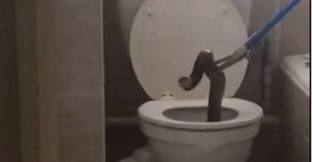 Da se naježiš: Nećete vjerovati šta je ovaj čovjek izvukao iz svoje WC šolje (VIDEO)