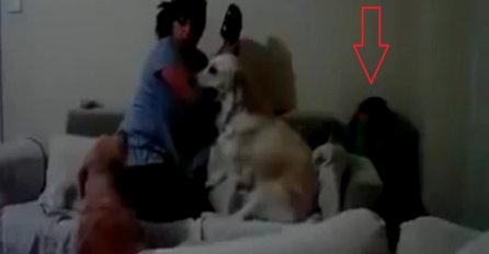 Majka je tukla svog sina, ali ne smijete skidati pogled sa psa (VIDEO)