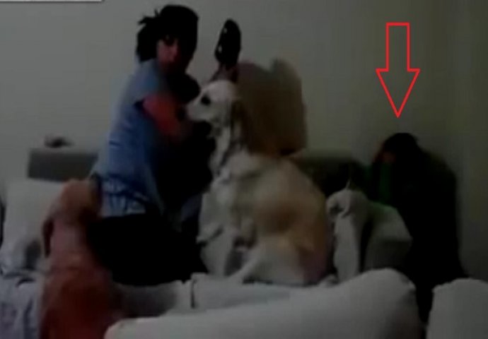 Majka je tukla svog sina, ali ne smijete skidati pogled sa psa (VIDEO)