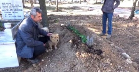 Psić svakoga dana obilazi grob vlasnika, spuštene je njuške držao počasnu stražu (VIDEO)
