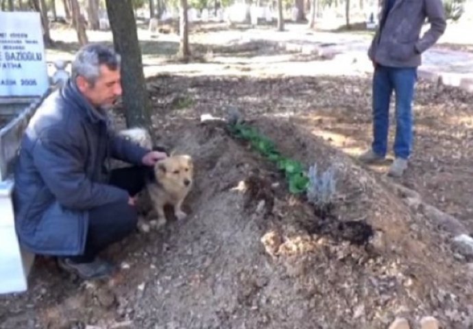 Psić svakoga dana obilazi grob vlasnika, spuštene je njuške držao počasnu stražu (VIDEO)