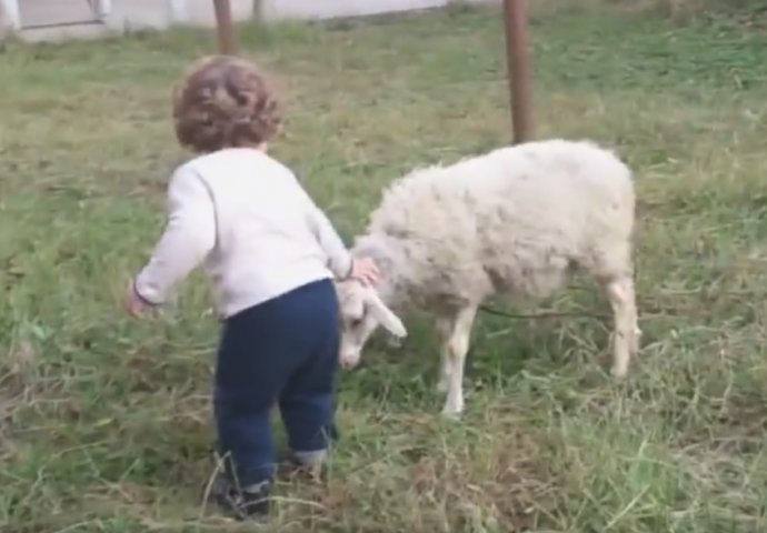 PRESLATKO: Ovo dijete imat će predivnu uspomenu iz djetinjstva (VIDEO)