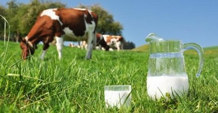 Od 1. februara novi udar na bh. proizvođače i prerađivače mlijeka