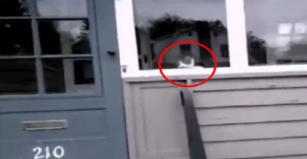 Poštar je htio samo dostaviti pisma, ali pogledajte šta je mačka uradila (VIDEO)