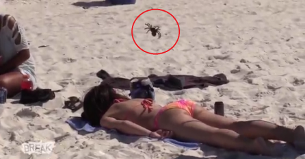 Ležala je na plaži pa su joj stavili pauka na leđa, njena reakcija je urnebesna (VIDEO)