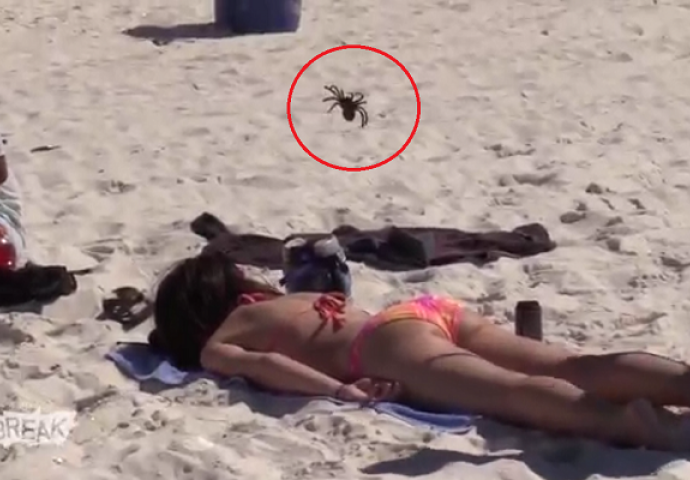 Ležala je na plaži pa su joj stavili pauka na leđa, njena reakcija je urnebesna (VIDEO)