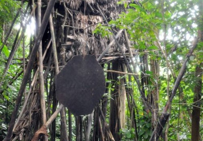 Čovjek koji je potpuno poludio i pobjegao u džunglu, a onda su ga pronašli nakon  40 godina:  Nećete vjerovati kako danas izgleda!
