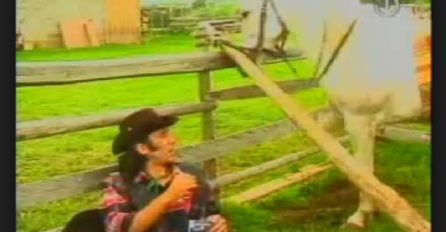 Sjećate li se? Uteče Međeđa, Dževade, uteče krava! (VIDEO)