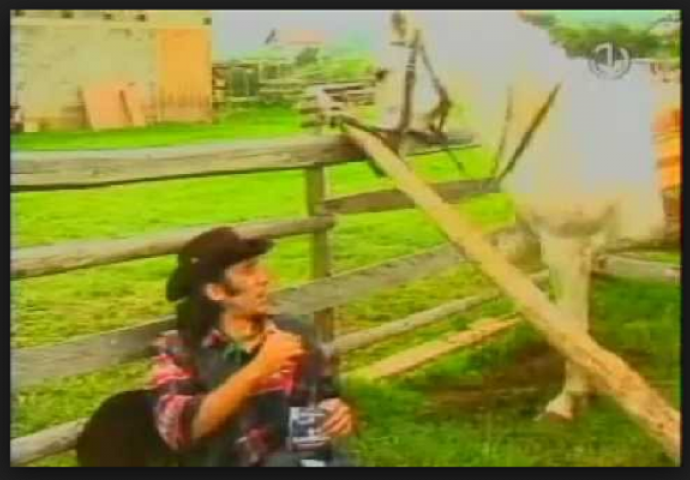 Sjećate li se? Uteče Međeđa, Dževade, uteče krava! (VIDEO)