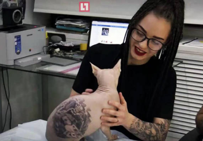 Majstor za tetovaže razljutio internet kada je ovo istetovirao na mački (FOTO)