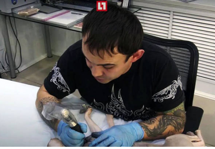 Majstor za tetovaže razljutio internet kada je ovo istetovirao na mački (FOTO)