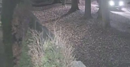 Da li snimak nadzornih kamera riješava veliku misteriju: Šta se dogodilo u noći kada je smrtno stradao Dženan Memić