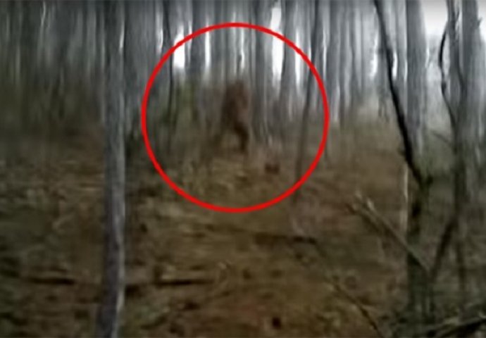 Snimili su bizarno stvorenje na Krimu, niko ne zna da li je ovo veliko stopalo ili velika prevara (VIDEO)
