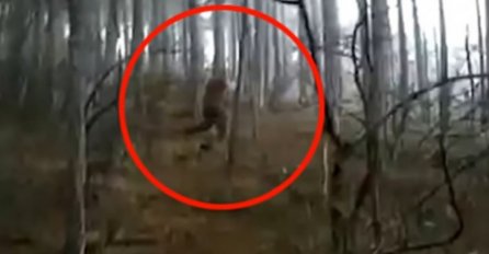 Planinar snimio spodobu koja ga je prestravila: Mnogi tvrde da je u pitanju VELIKO STOPALO! (VIDEO)