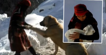 Djevojčica po snijegu do koljena čuva stado koza, a onda je jednog dana postala HEROJ kojem se svi dive  (VIDEO)