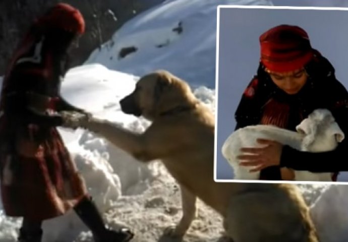 Djevojčica po snijegu do koljena čuva stado koza, a onda je jednog dana postala HEROJ kojem se svi dive  (VIDEO)